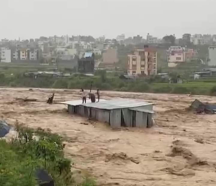 अविरल बर्षा बाढीपहिरोको विपदले दुई दिनमै देशभर ४९ जनाको मृत्यु, ४० बेपत्ता